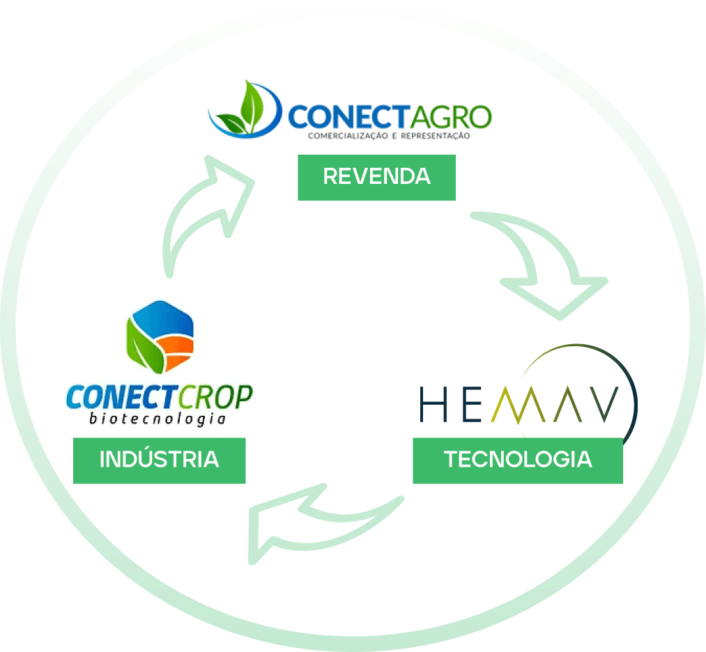 Conect Agro - L4 Capital